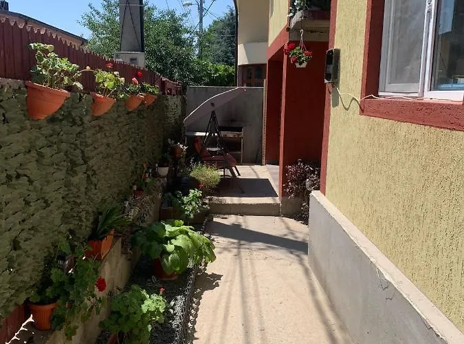 Penzion Casa Laurentiu 3*