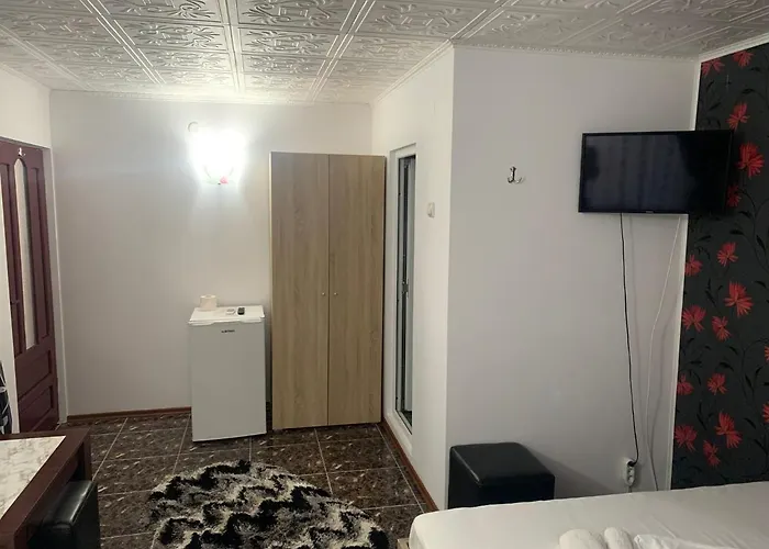 Guest house Casa Laurentiu